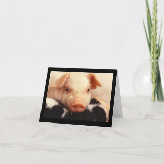 Carte Museau adorable de visage de porc de porcelet
