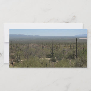 Carte Musée du désert de Sonora