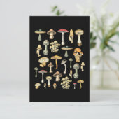 Carte Mushroom (Debout devant)