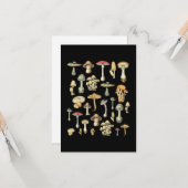 Carte Mushroom (Devant/Arrière en situation)