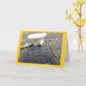 Carte Mushroom et Lichen dans le Wisconsin Blank Note Ca (Fleur jaune)