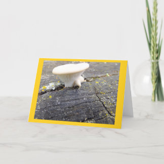 Carte Mushroom et Lichen dans le Wisconsin Blank Note Ca