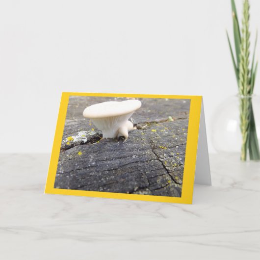 Carte Mushroom et Lichen dans le Wisconsin Blank Note Ca (Devant)