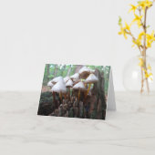 Carte Mushrooms on Old Stump Notecard (Fleur jaune)