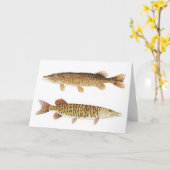 Carte Muskie & Pike (Fleur jaune)