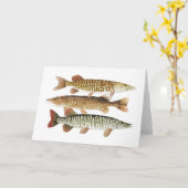 Carte Muskie, Pike et tigre (Fleur jaune)