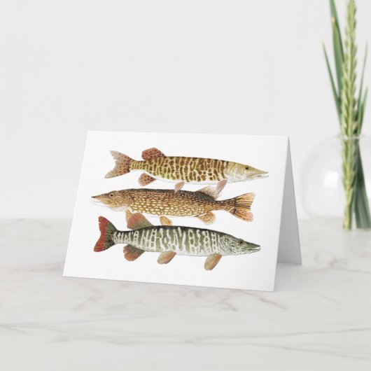 Carte Muskie, Pike et tigre (Devant)