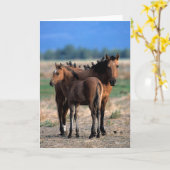 Carte Mustang Mare et poulain debout avec les oiseaux (Fleur jaune)