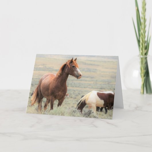 Carte Mustangs sauvages de l'Occident (Devant)