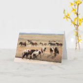 Carte Mustangs sauvages de l'Occident (Fleur jaune)