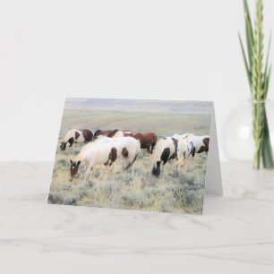 Carte Mustangs sauvages de l'Occident