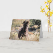Carte Mustangs sauvages de l'Occident (Fleur jaune)