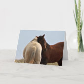 Carte Mustangs sauvages de l'Occident (Devant)