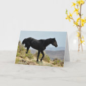 Carte Mustangs sauvages de l'Occident (Fleur jaune)