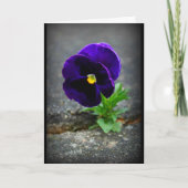 Carte N'Abandonne Jamais ! (Devant)