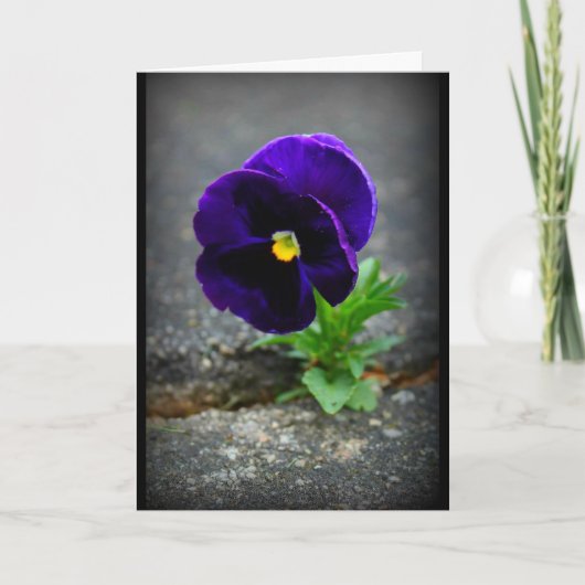 Carte N'Abandonne Jamais ! (Devant)