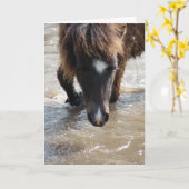 Carte Nager Cheval Anniversaire (Fleur jaune)