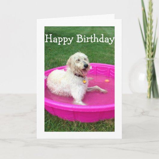 CARTE NAGER LE CHIEN DIT JEUX ANNIVERSAIRE/S'AMUSER COMM (Devant)
