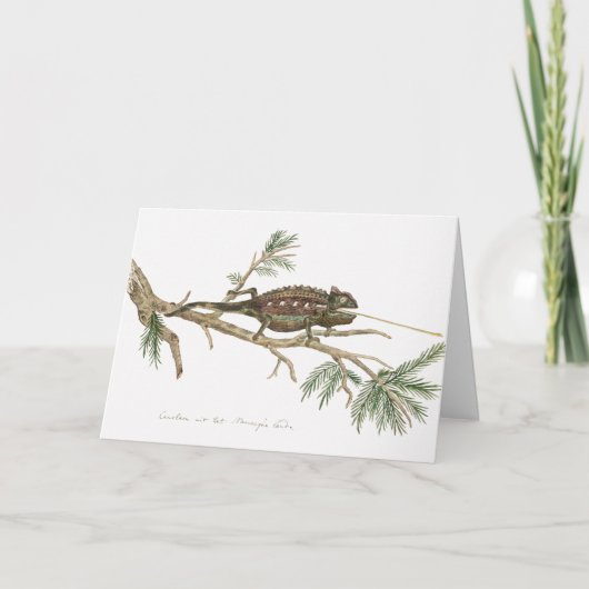 Carte Namaqua chameleon Lizard Reptile Gecko (Devant)
