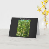 CARTE NANAS FAVA BEAN BLOOMS (Fleur jaune)