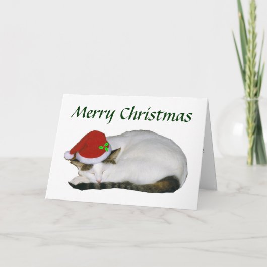 Carte Nap pour chat Noël (Devant)
