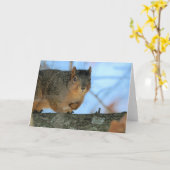 Carte Napoléon (Fleur jaune)