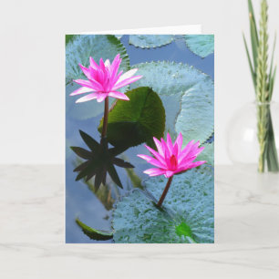 Carte Nappes D'Eau