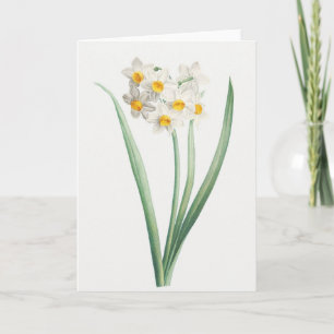 Carte Narcisse, Pierre-Joseph Redouté, 1805