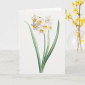Carte Narcisse, Pierre-Joseph Redouté, 1805 (Fleur jaune)