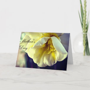 Carte Narcissus Daffodil Fête de la Mère