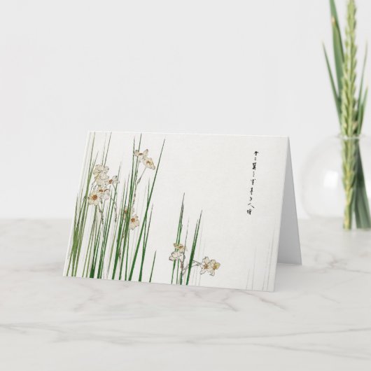 Carte Narcissus jonquilla Flower, Watanabe Seitei (Devant)