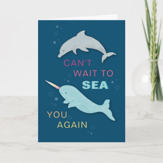 Carte Narwhal Dolphin Friends (Devant)