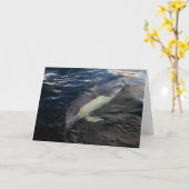 Carte Natation commune des dauphins (Fleur jaune)