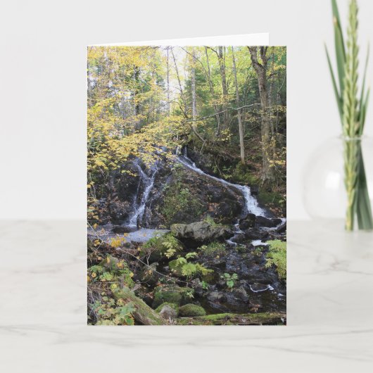 Carte Nature (Devant)