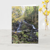 Carte Nature (Fleur jaune)