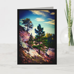 Carte nature art montagne pins photo blanc