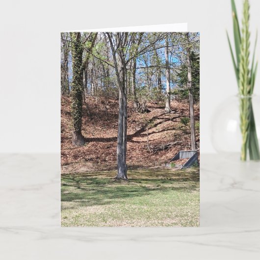 Carte Nature Card (Devant)