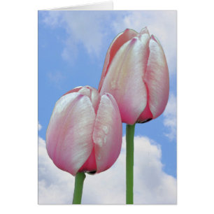 Carte Nature des nuages de ciel bleu Tulipes roses