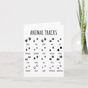Carte Nature Explorer Les Titres Animaux Aiguilles Pour 