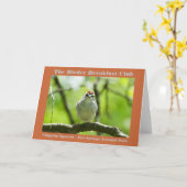 Carte Nature Photographie Chipping Sparrow Birder (Fleur jaune)