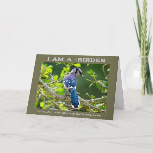 Carte Nature Photographie Shy Blue Jay Birder (Devant)