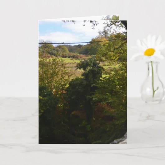 Carte nature way of impersonating animals (Petite plante)