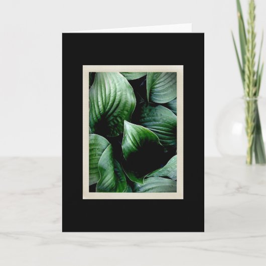 Carte naturelle des délicatesses 104 (Devant)