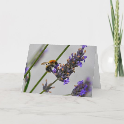 Carte Natures de merveilleux travailleurs (Devant)