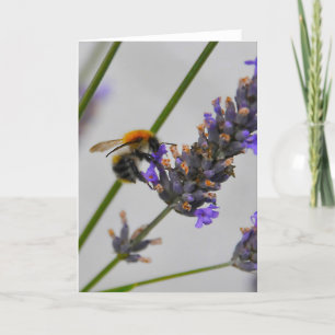 Carte Natures de merveilleux travailleurs