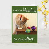 Carte Naughty Orange Tabby aux ornements de Noël (Fleur jaune)