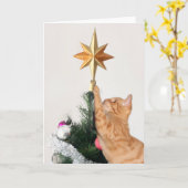 Carte Naughty Orange Tabby Noël (Fleur jaune)