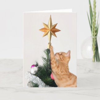 Carte Naughty Orange Tabby Noël