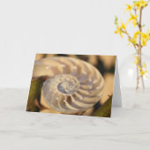 Carte Nautilus Chamnuméroté (Fleur jaune)