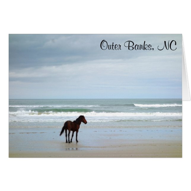 Carte NC Wild Horse Outer Banks (Devant horizontal)